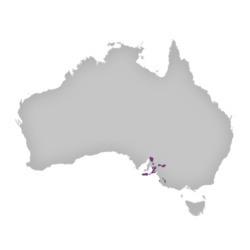 Region: South Australia