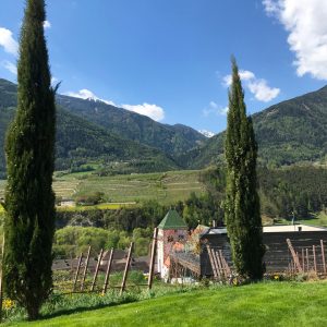 Two Days in the Alto Adige 23