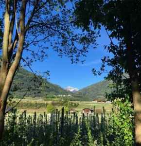 Two Days in the Alto Adige 26