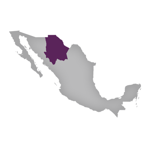 Region: Chihuahua