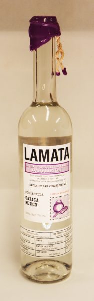 Sotol Cucharilla  Oaxaca Lamata