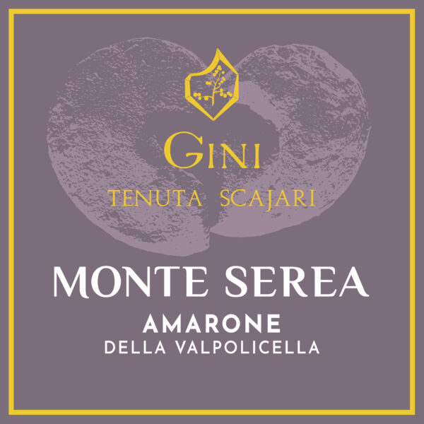 Amarone della Valpolicella Monte Serea Gini