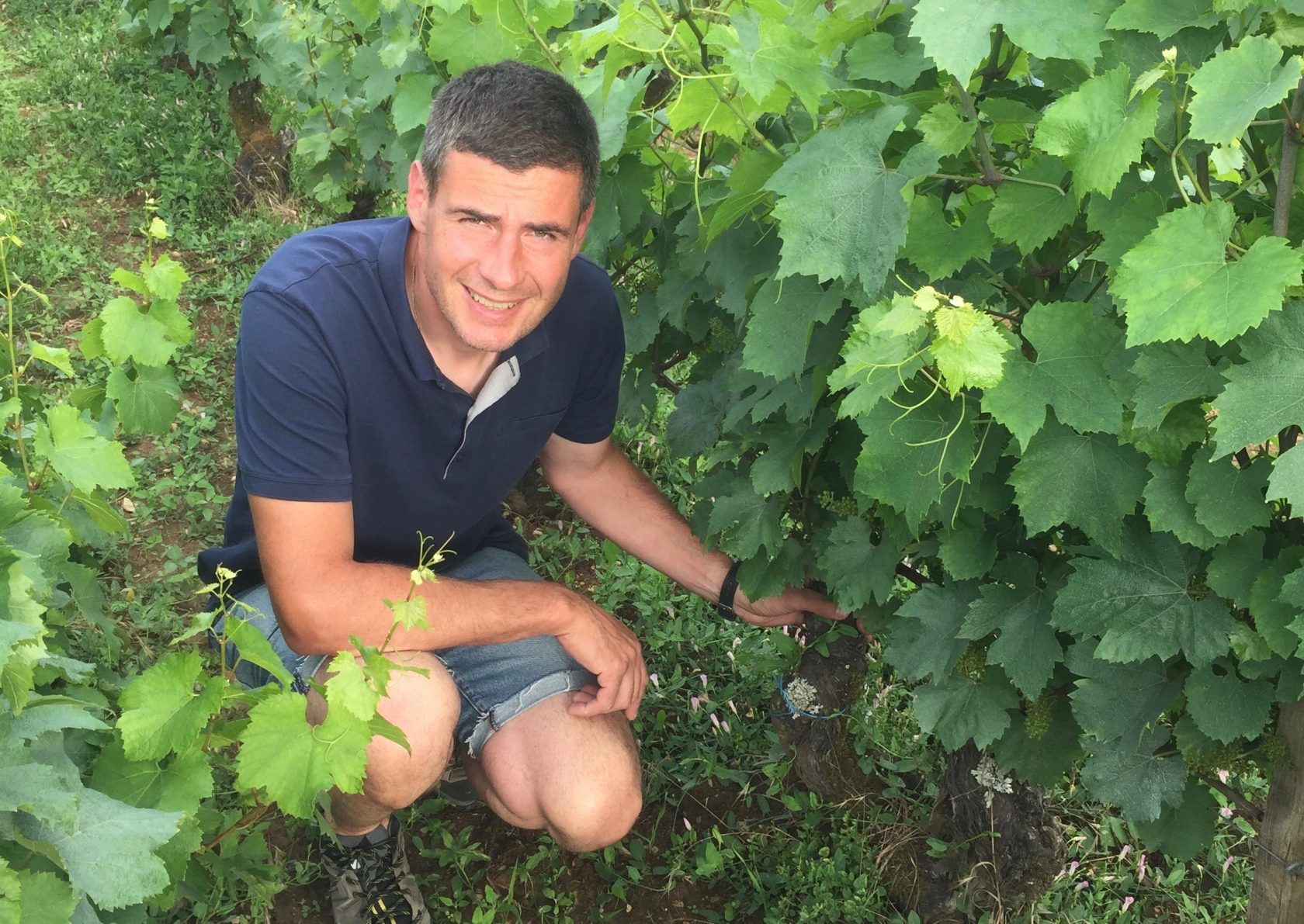 Domaine Dureuil-Janthial: Burgundy’s Quiet Superstar - Skurnik Wines ...