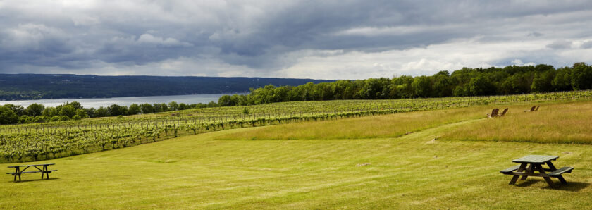 Standing Stone Vineyards