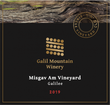 Cabernet Franc 'Misgav Am'