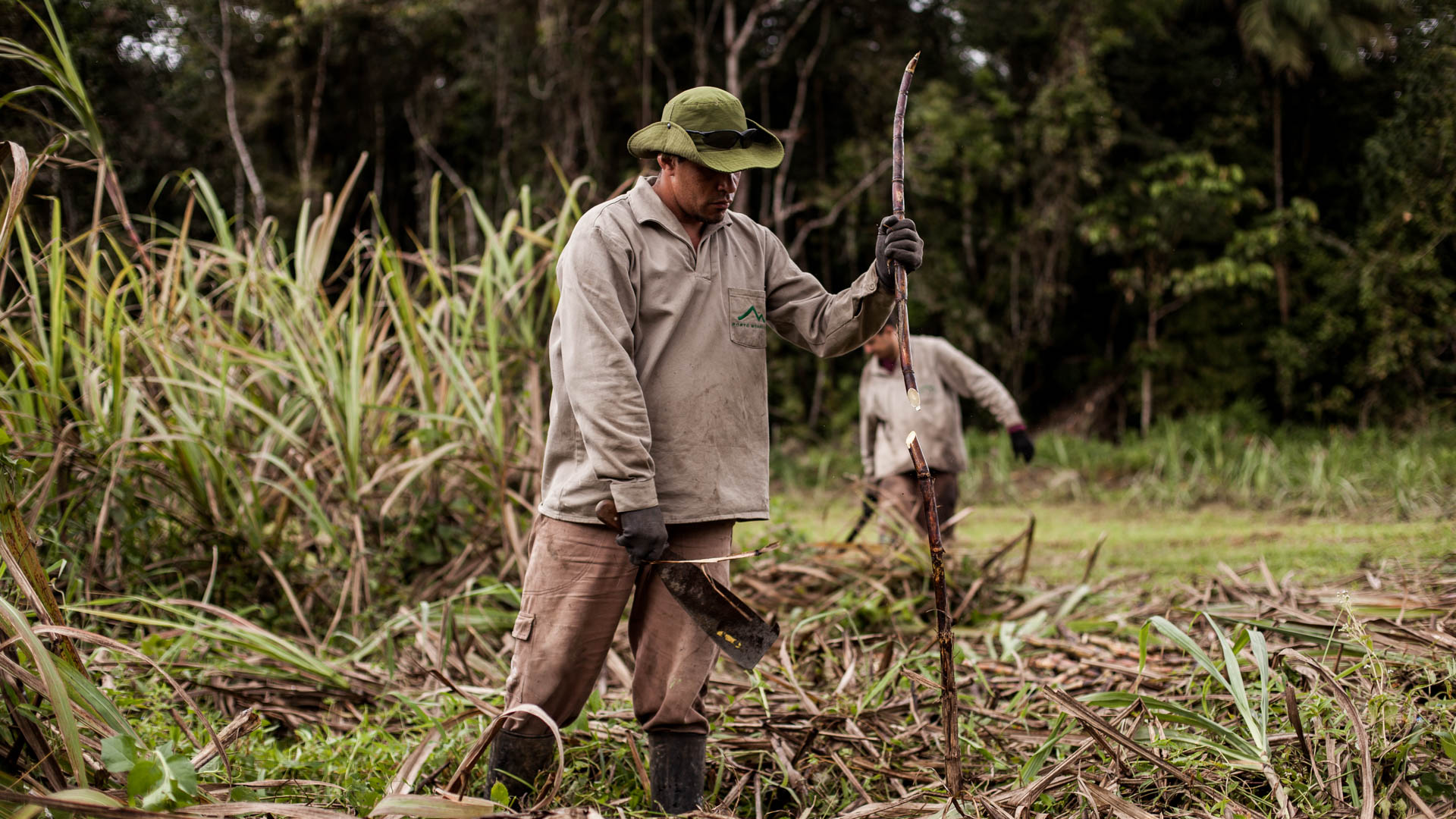 Sustainability in Spirits: Novo Fogo - Skurnik Wines & Spirits