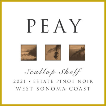 Pinot Noir 'Scallop Shelf Estate'