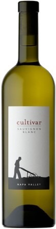 Sauvignon Blanc Napa Valley Cultivar