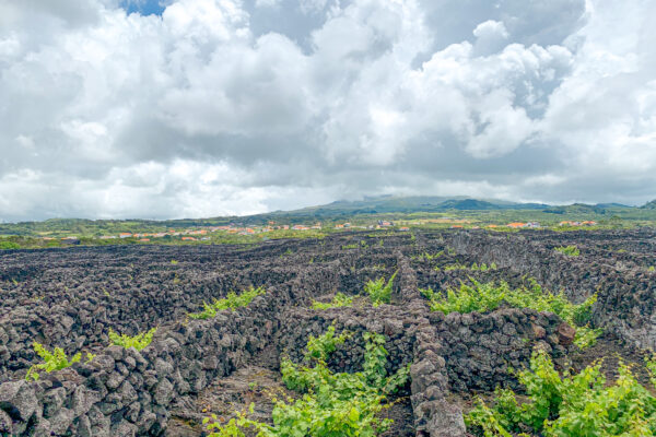 The Fortunate Isles (II of III): Ilha do Pico – Azores