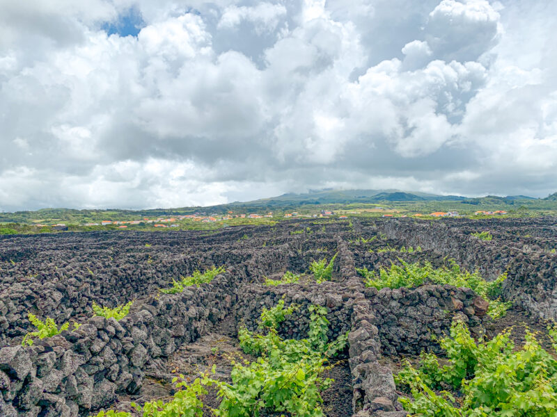 The Fortunate Isles (II of III): Ilha do Pico – Azores