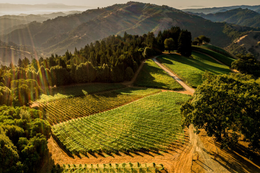 Centennial Mountain Vineyard